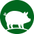 swine-icon